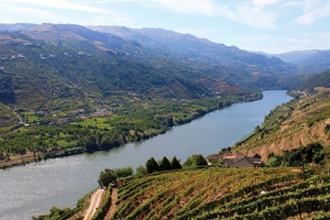 douro douro